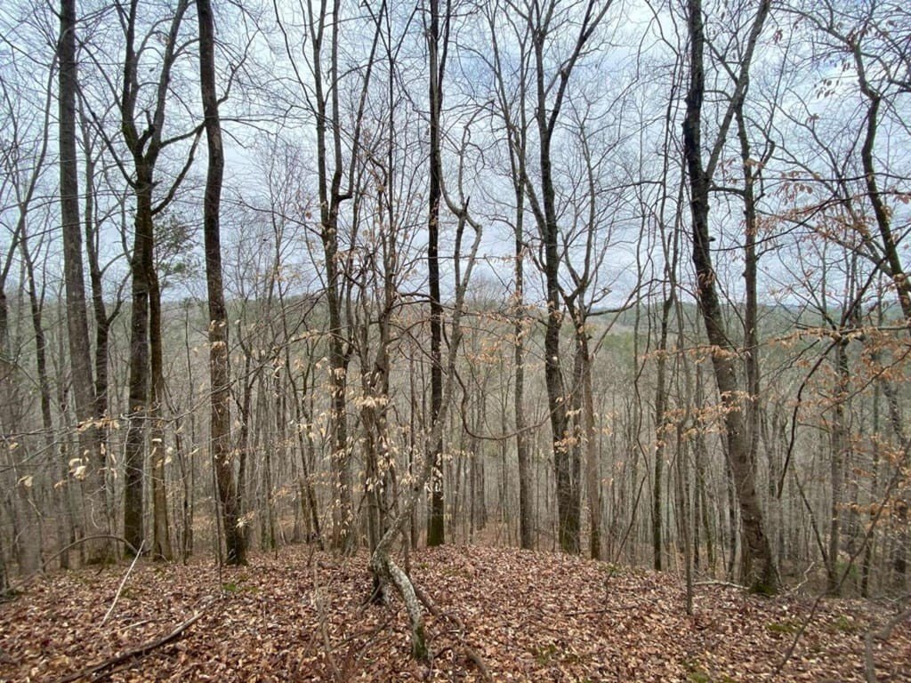 Picture 18