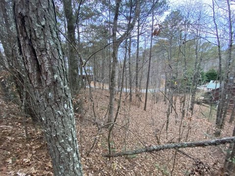 Ellijay, GA