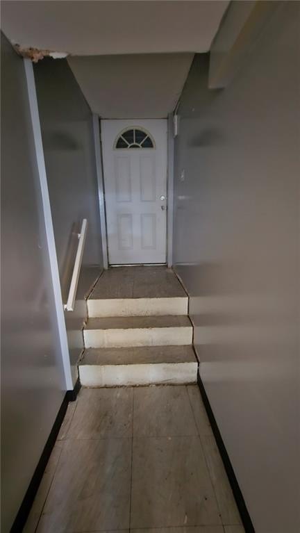 Picture 12