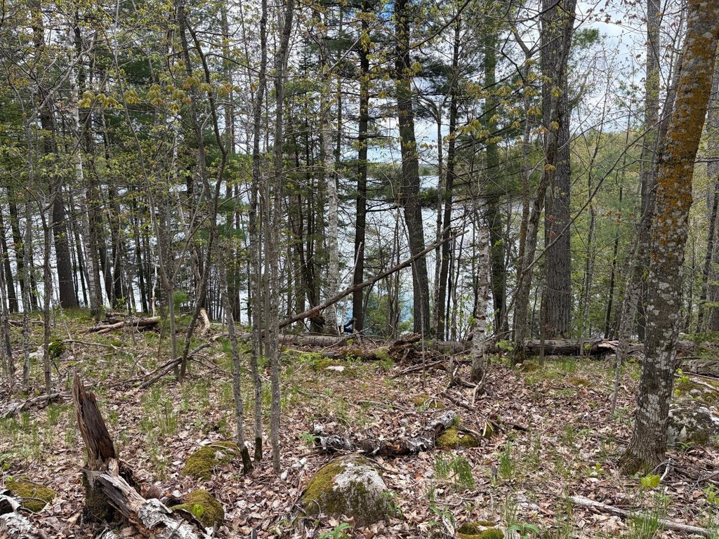 Picture 10