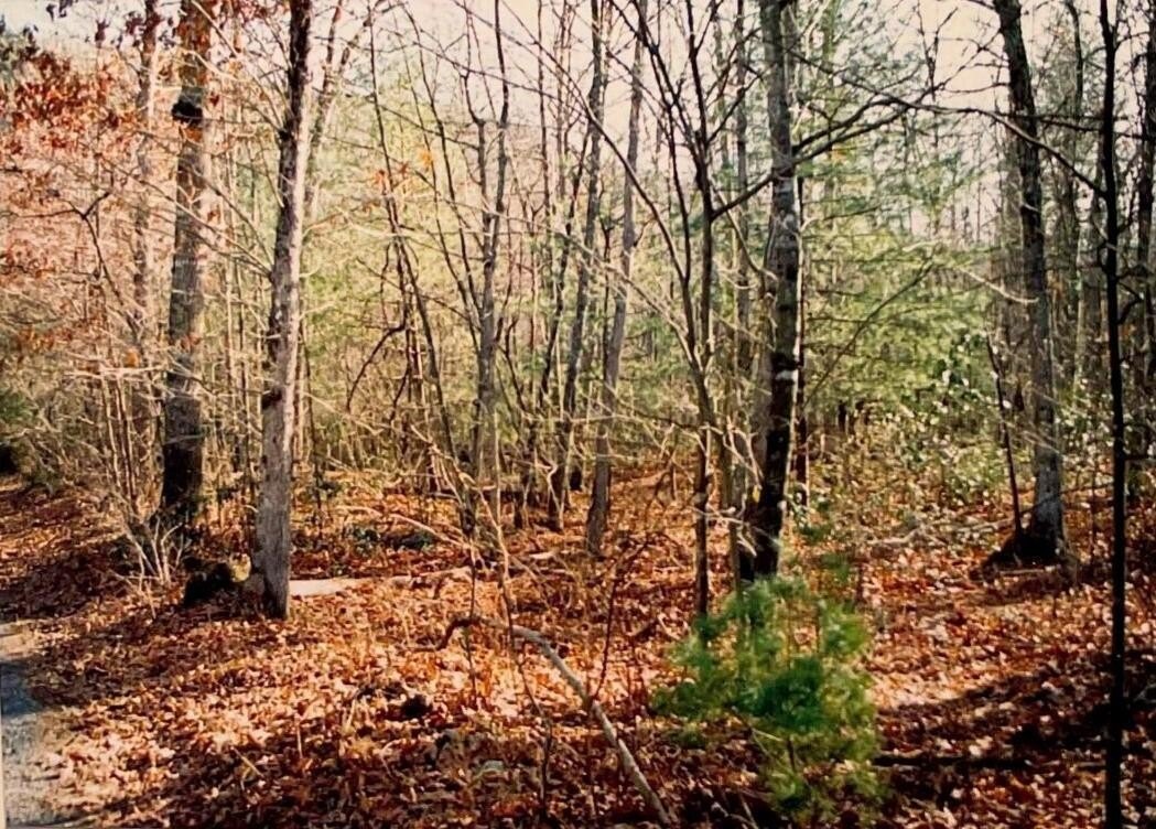 Residential Land in Dayton, VA