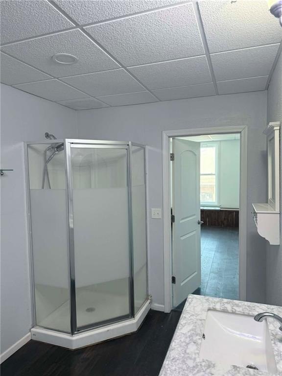 Picture 14