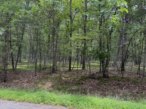 Flat Lot Near Woodloch Resort