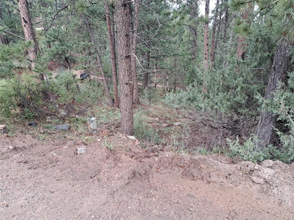 Picture 16
