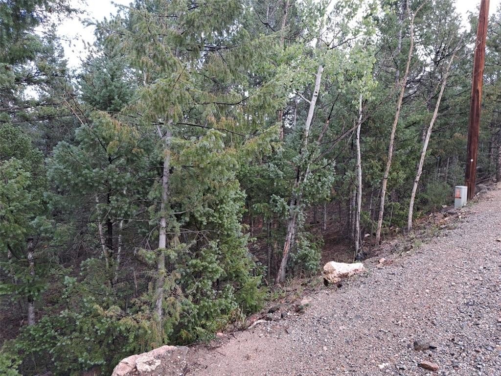 Picture 10