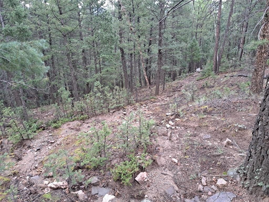 Picture 17