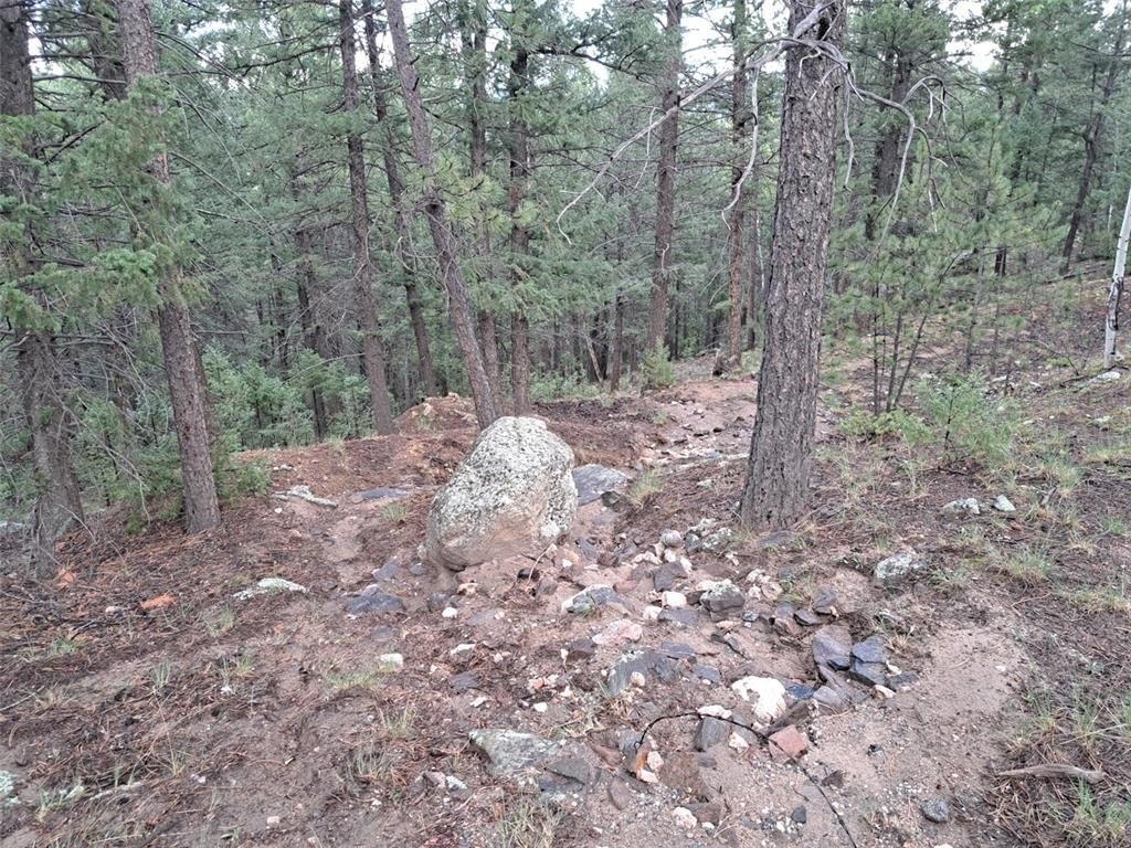 Picture 29