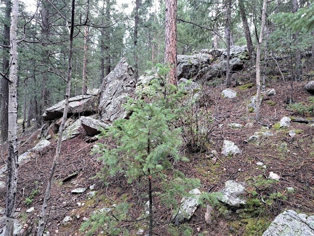 Picture 14