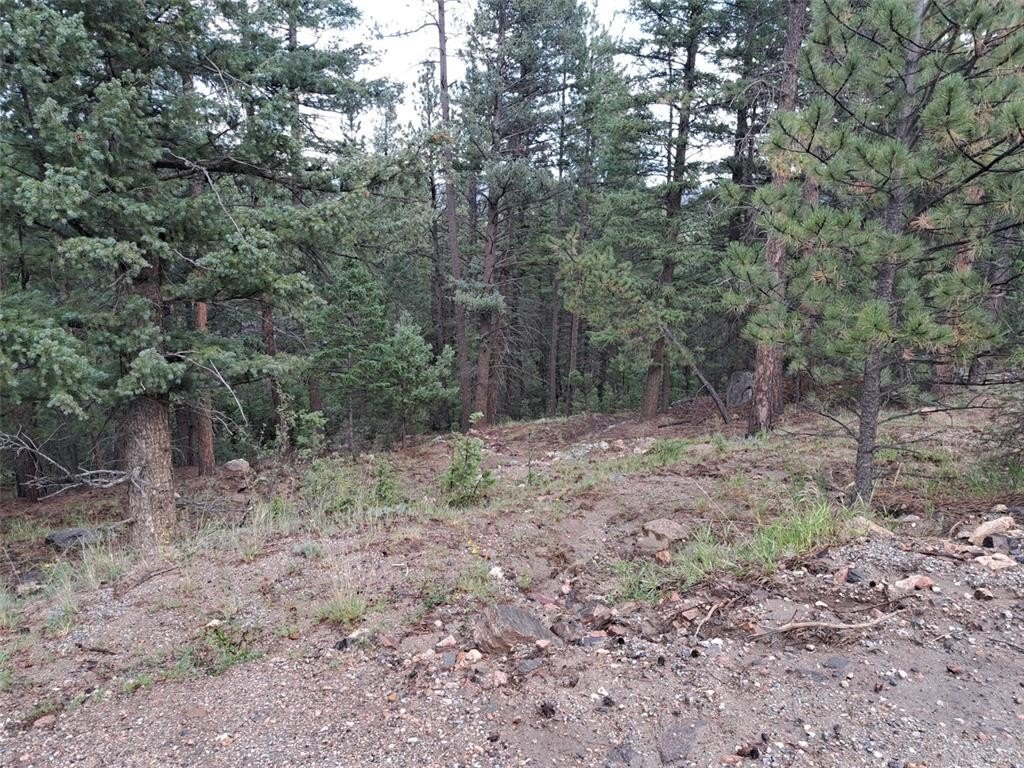 Picture 8