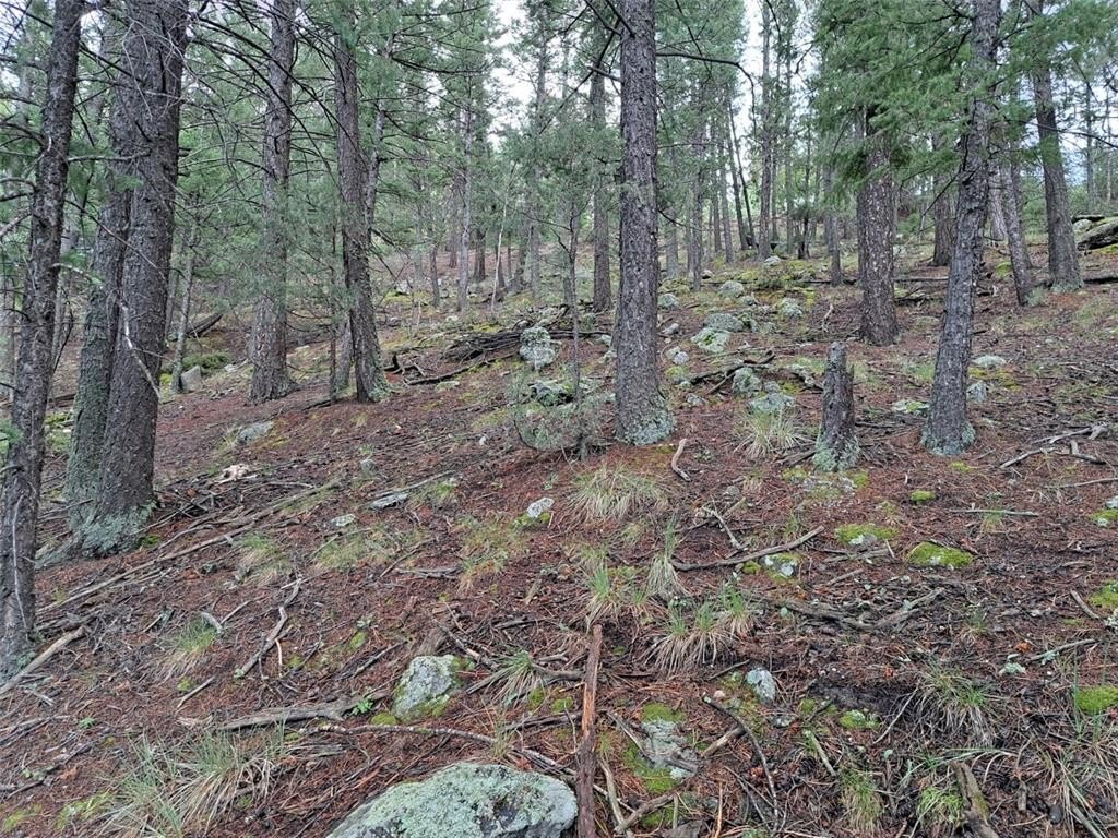 Picture 20