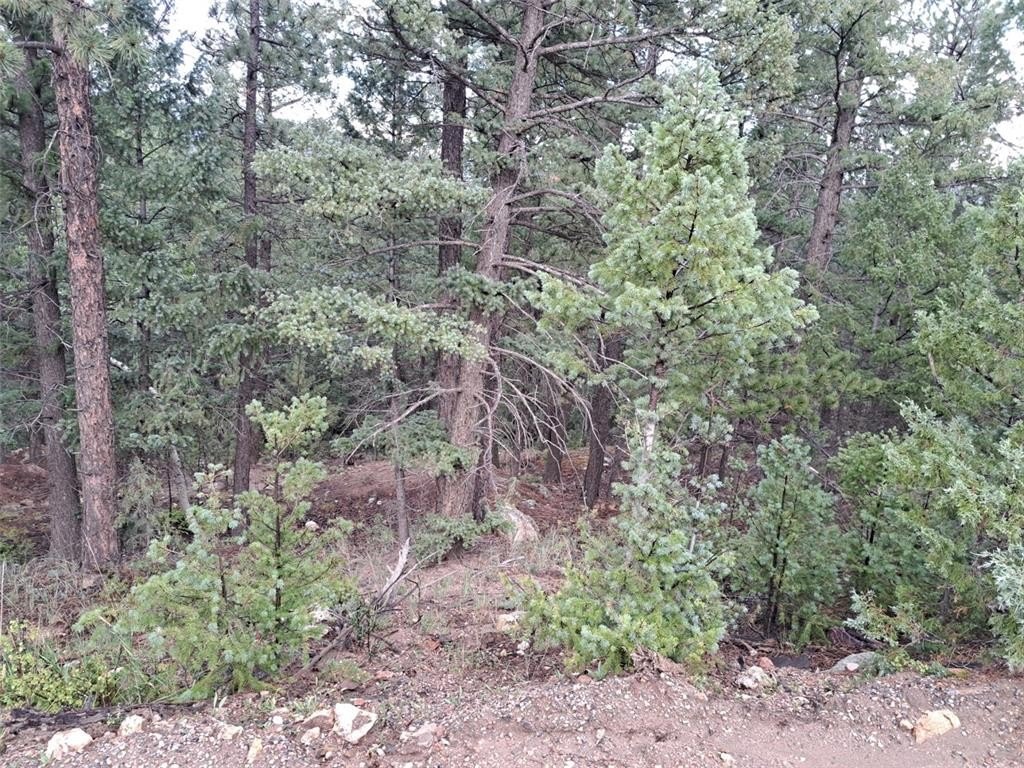 Picture 23