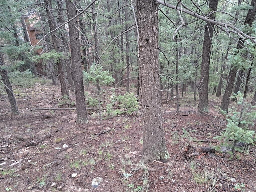 Picture 28