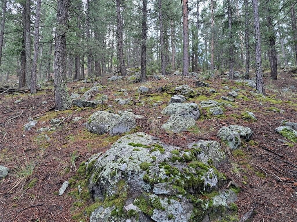 Picture 30