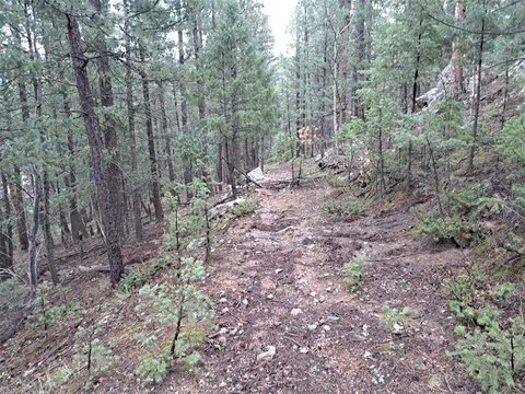Land, BAILEY, CO