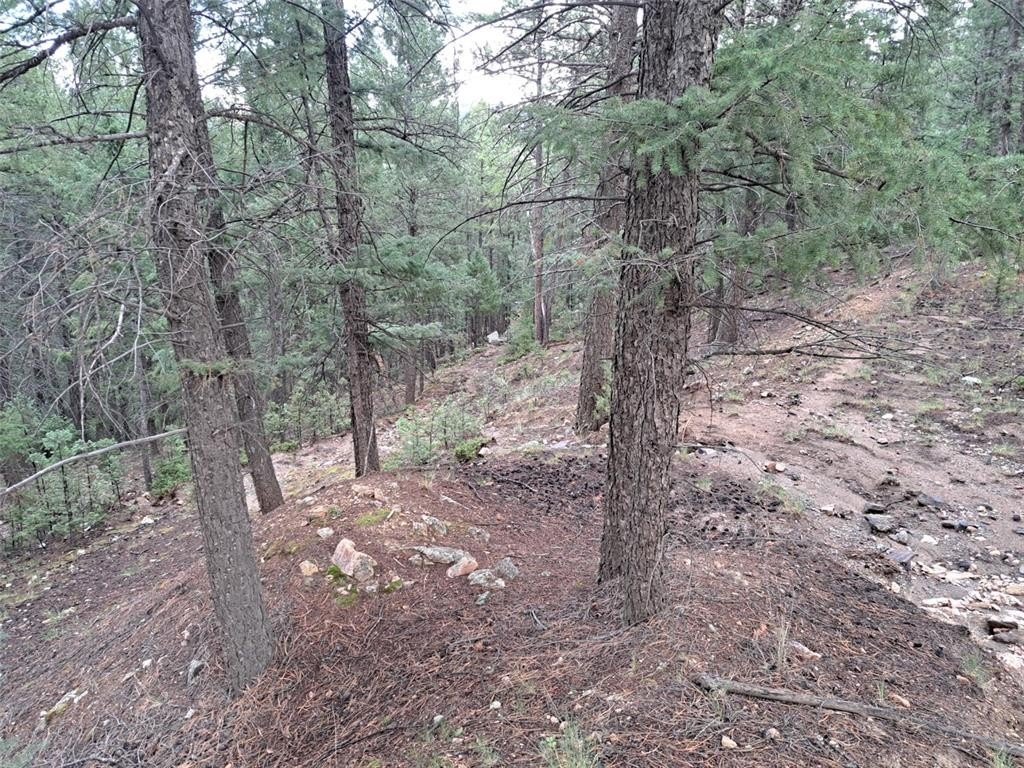 Picture 24