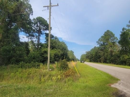 Picture 6