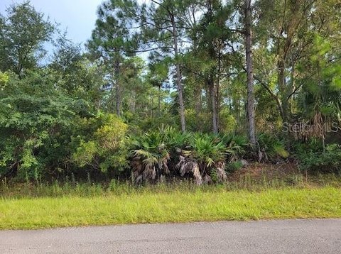Land, GEORGETOWN, FL