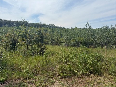 Land, Dover, AR