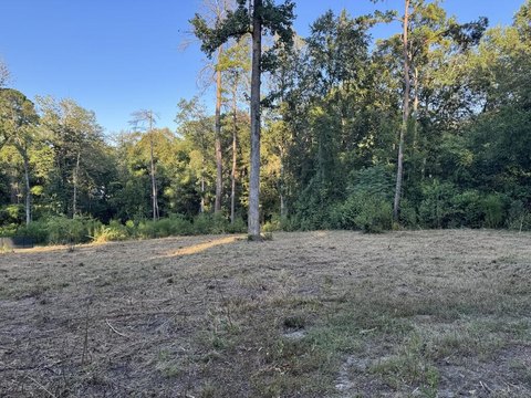 Land, Nacogdoches, TX