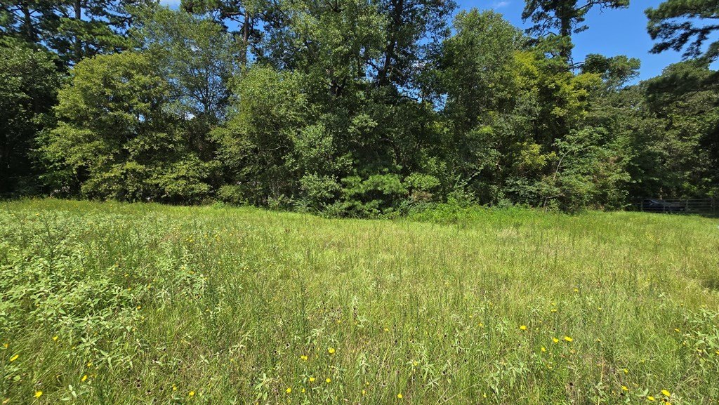 Picture 7