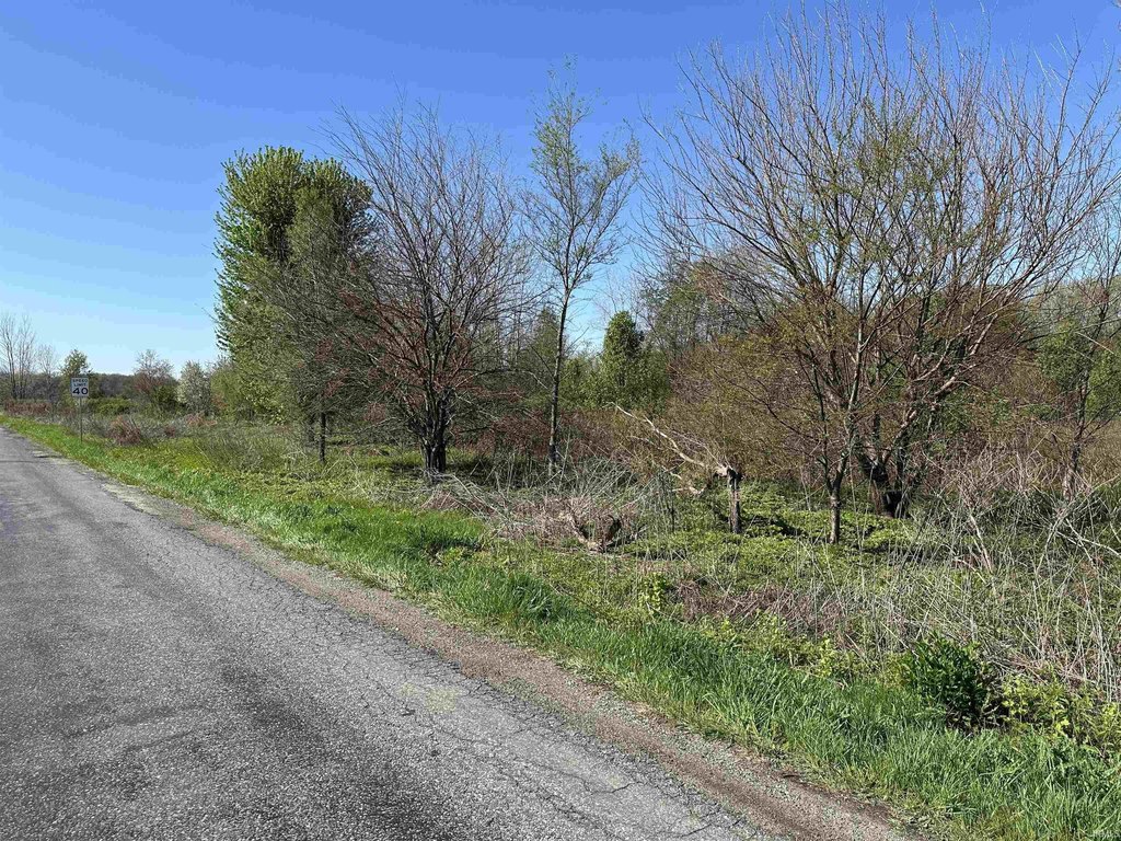 Picture 8