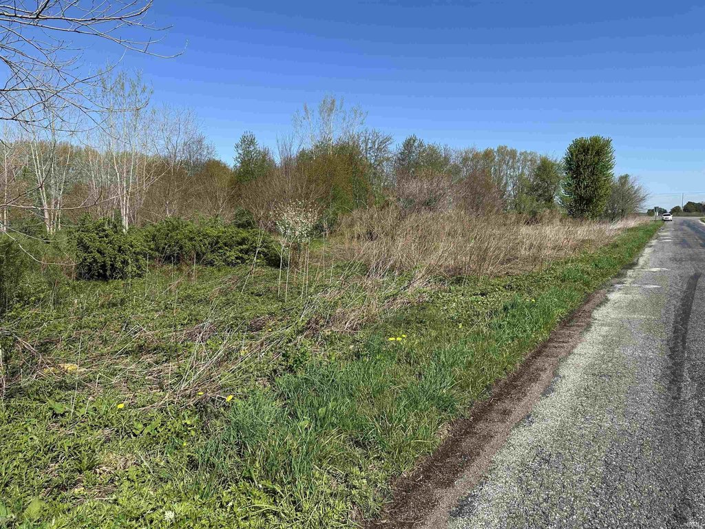 Picture 9