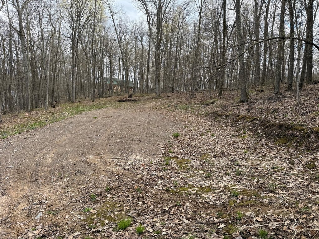 Picture 5