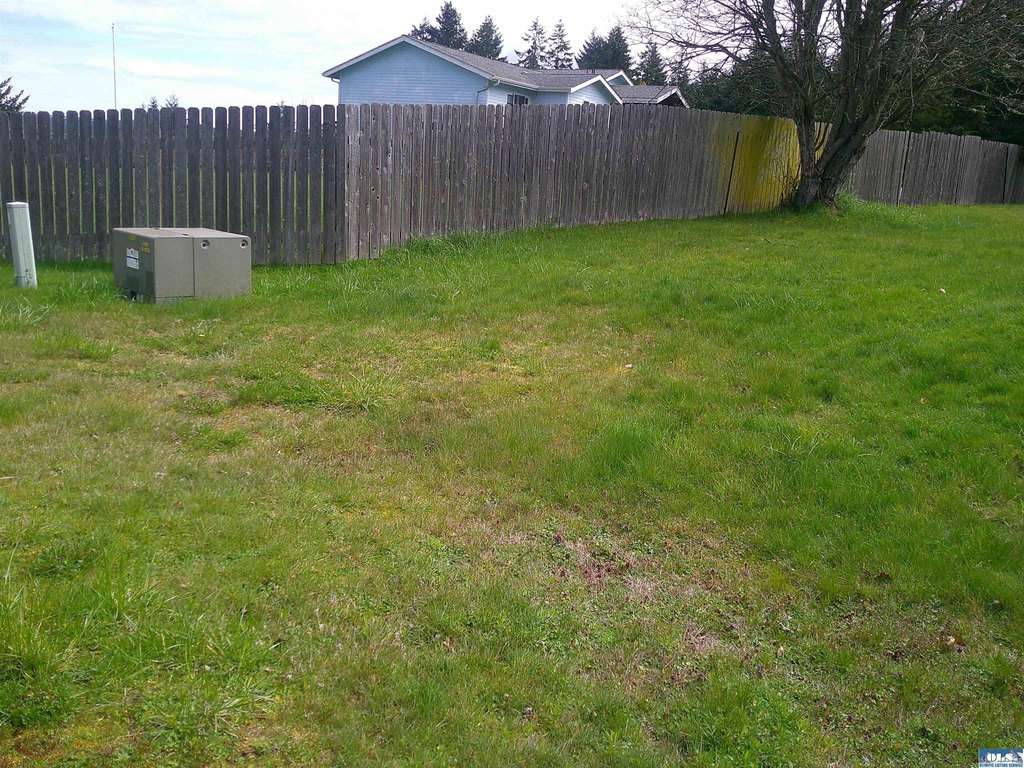 Picture 3