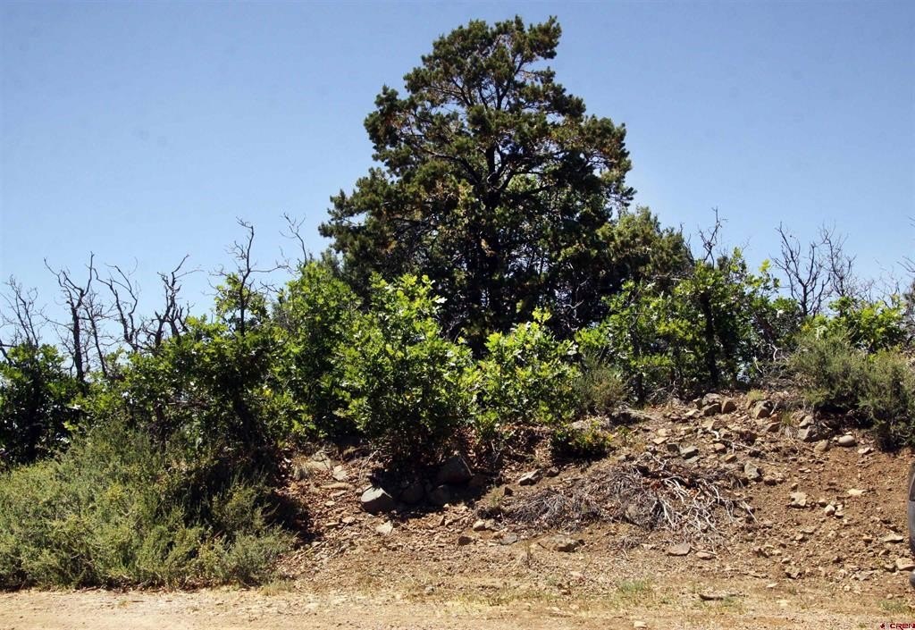 Picture 30