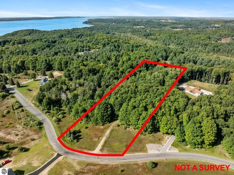 Vacant Lot/Land, Alden, MI