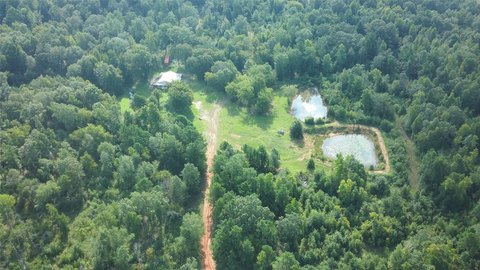 Hunting and Recreational Land with Cabin