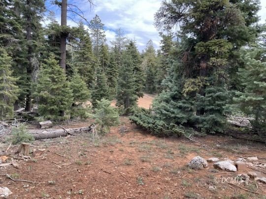 Residential Lot in Duck Creek