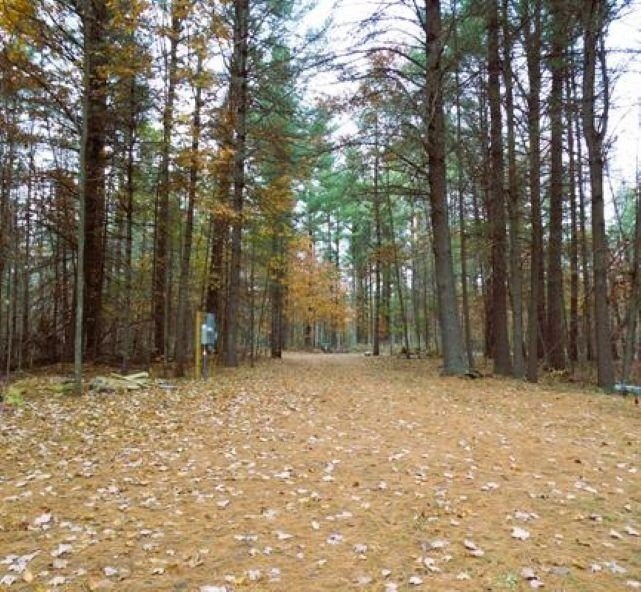 Picture 24