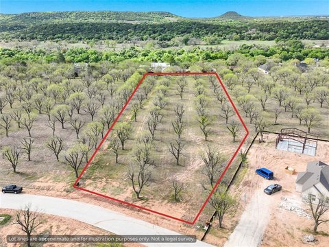 Land with Mature Pecan Trees