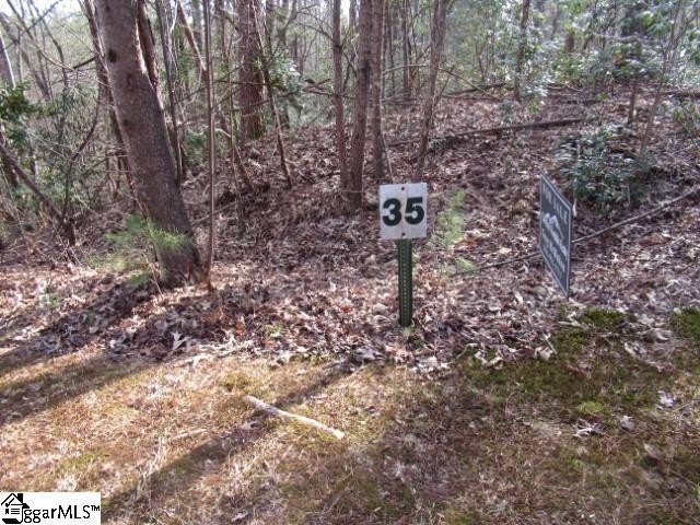 Wooded Acreage in Matthews Creek