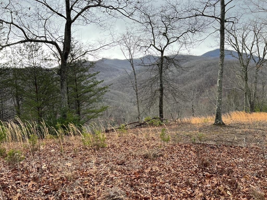 Equestrian Lot with Mountain Views