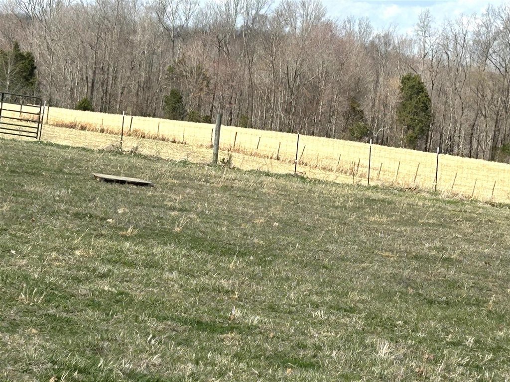 Picture 4