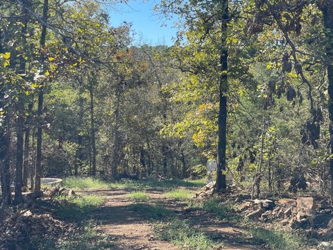 Wooded Recreation Land with Creek