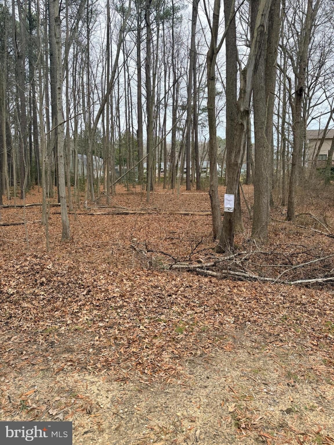 Vacant Land in Camden, Delaware