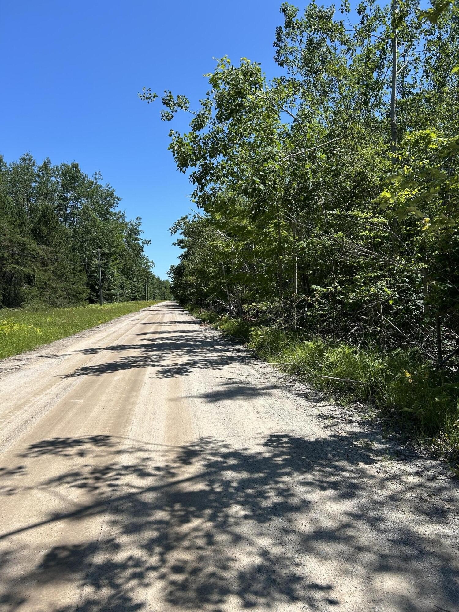 Land Near Mullett Lake