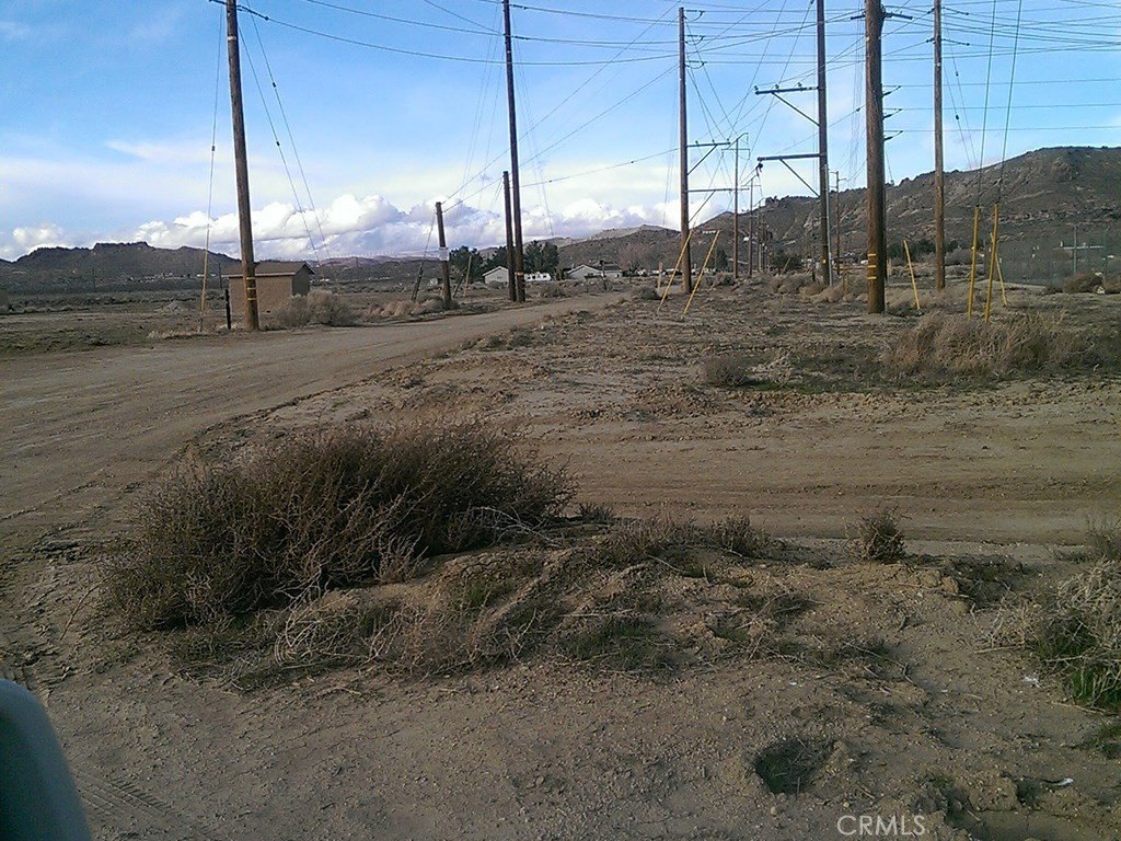 Picture 11