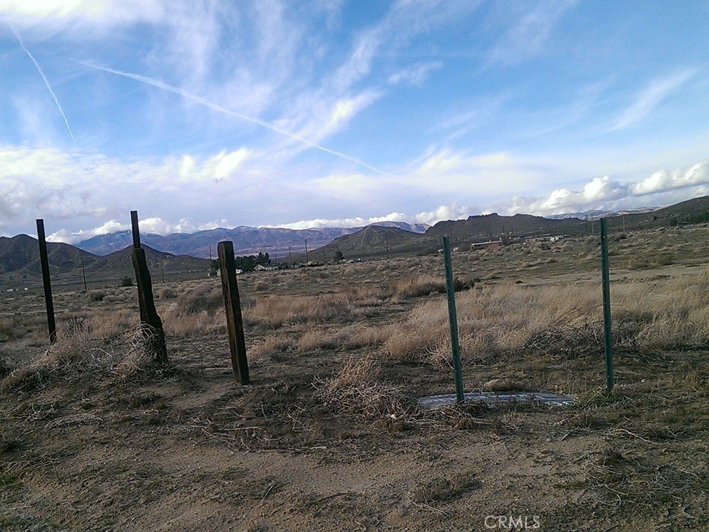 Picture 8
