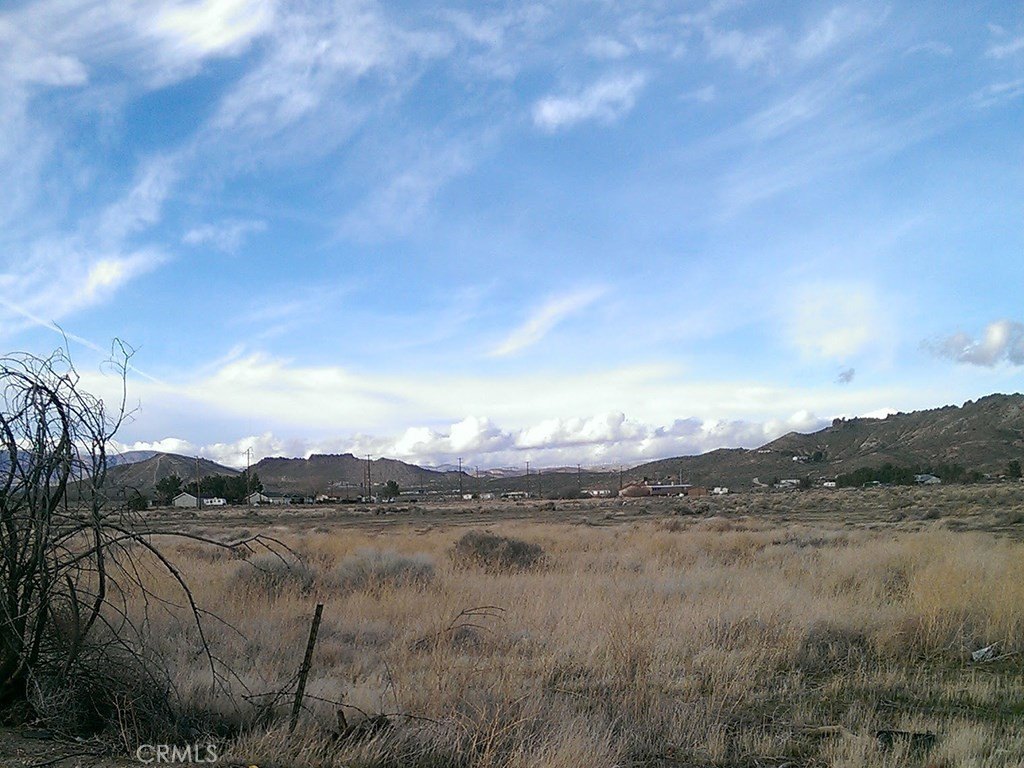 Picture 9