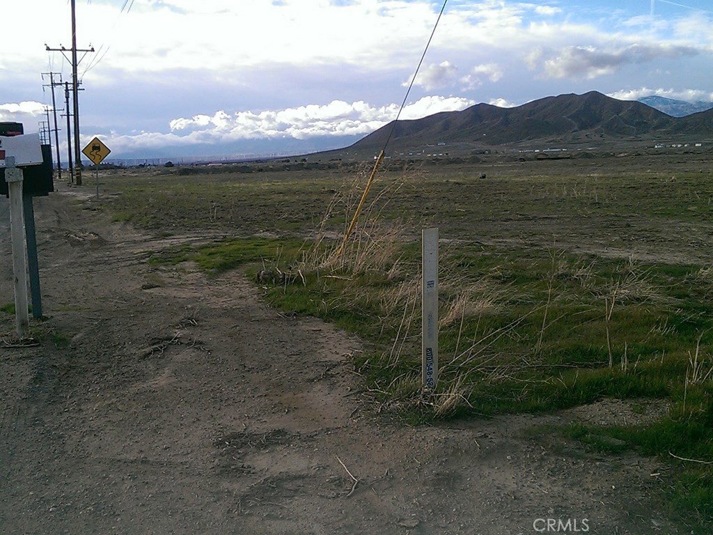 Picture 12