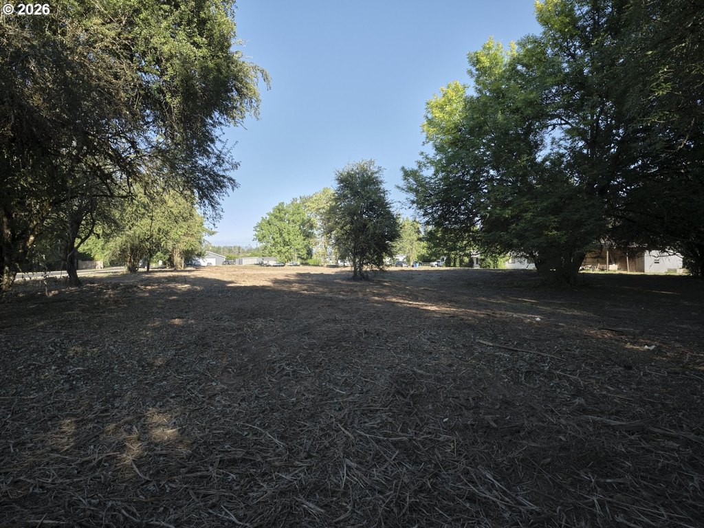Picture 19
