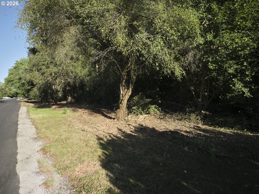 Picture 24