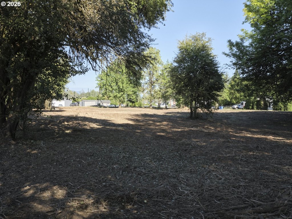 Picture 7