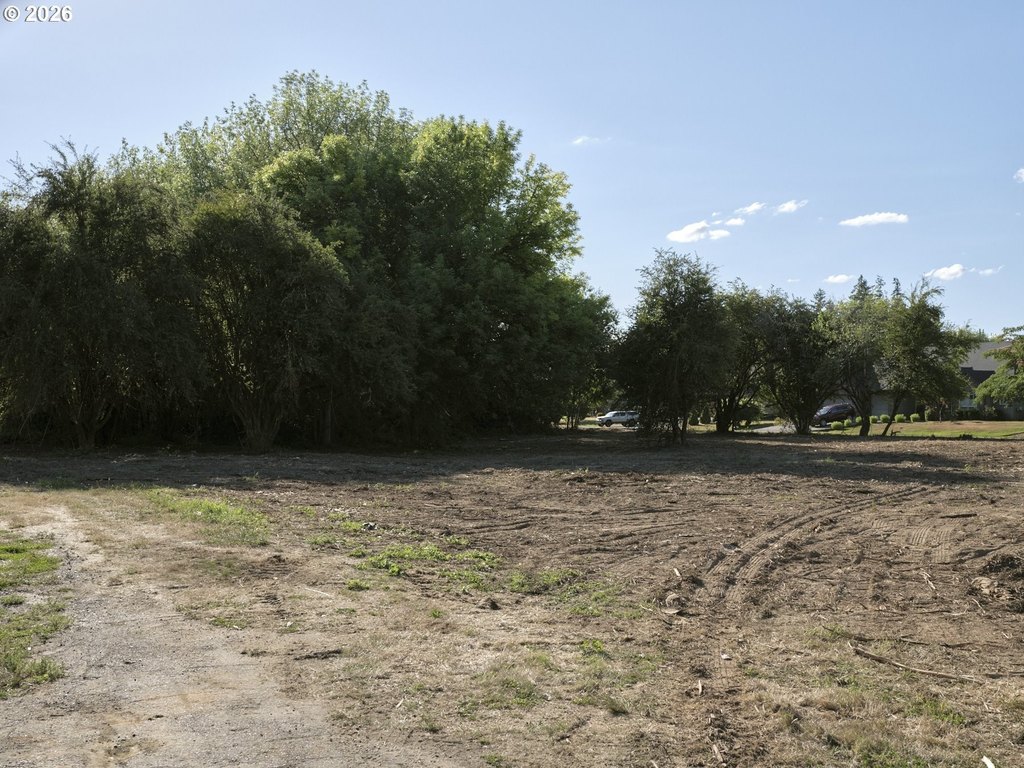 Picture 8
