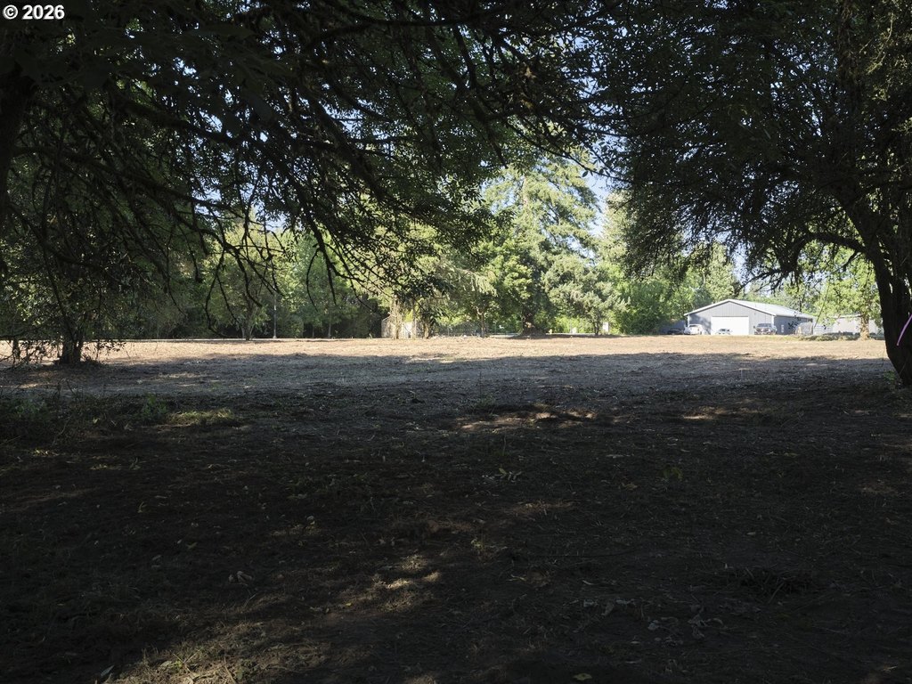 Picture 10