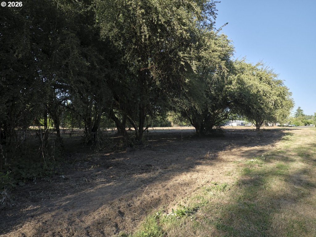 Picture 17
